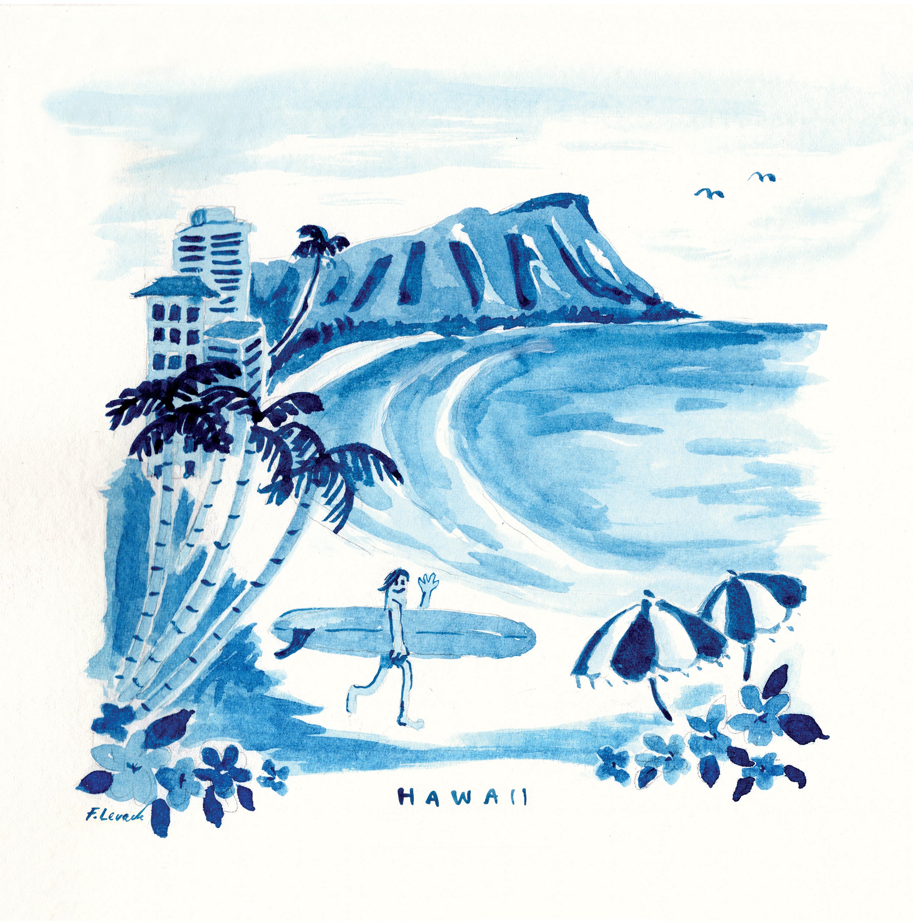 Hawaii Surfer / az 026